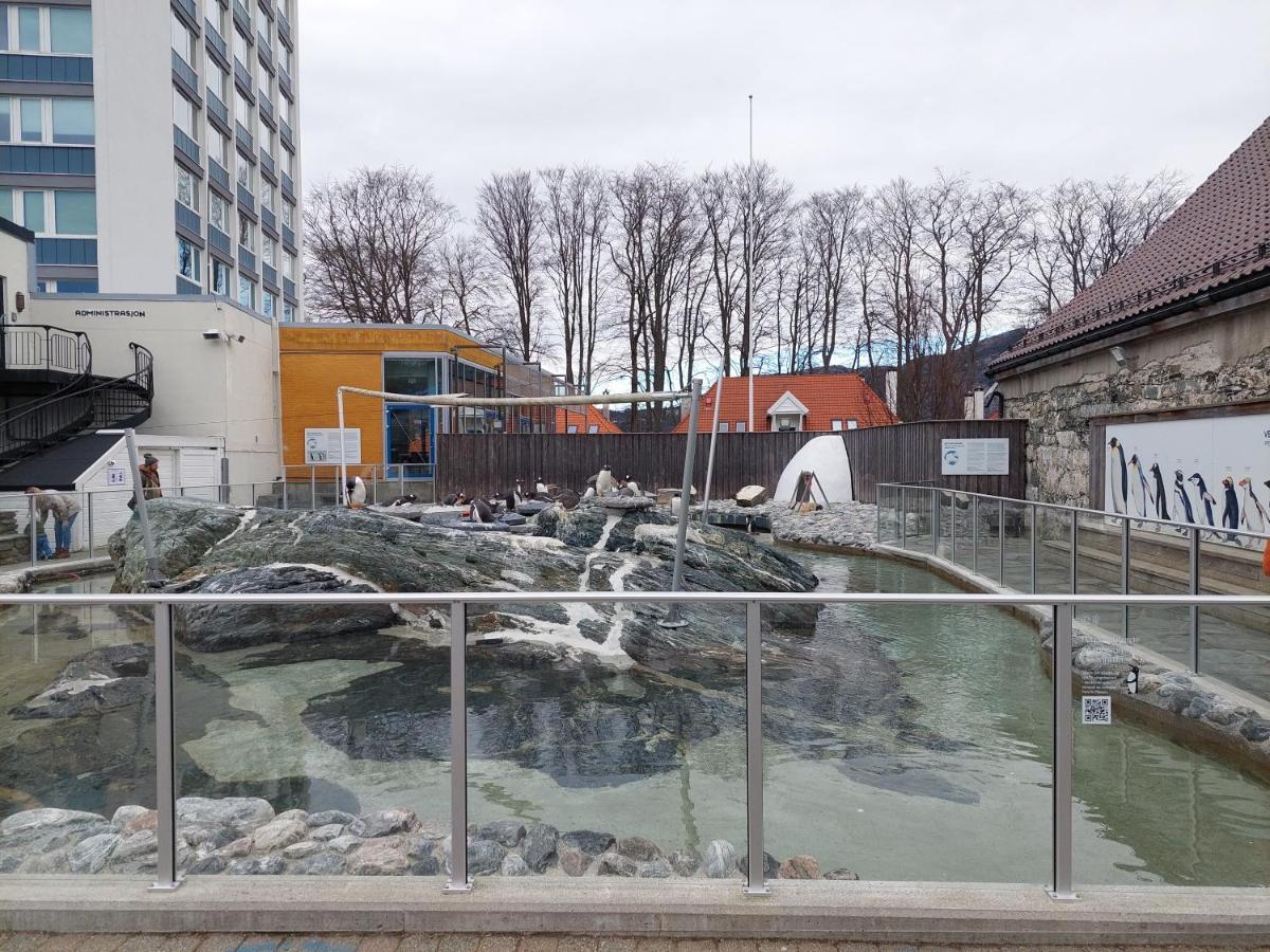 Bergen City Center Apartment ภายนอก รูปภาพ