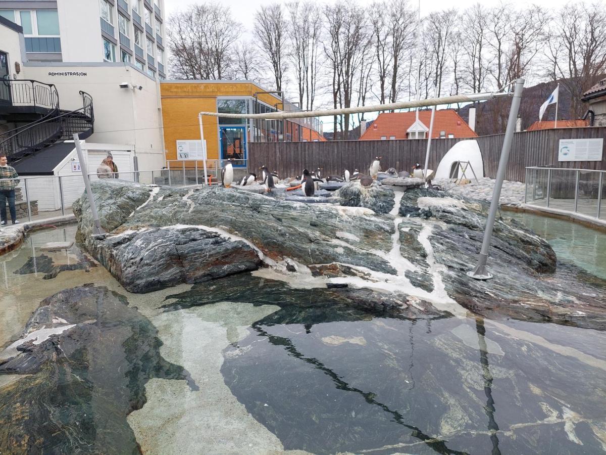 Bergen City Center Apartment ภายนอก รูปภาพ